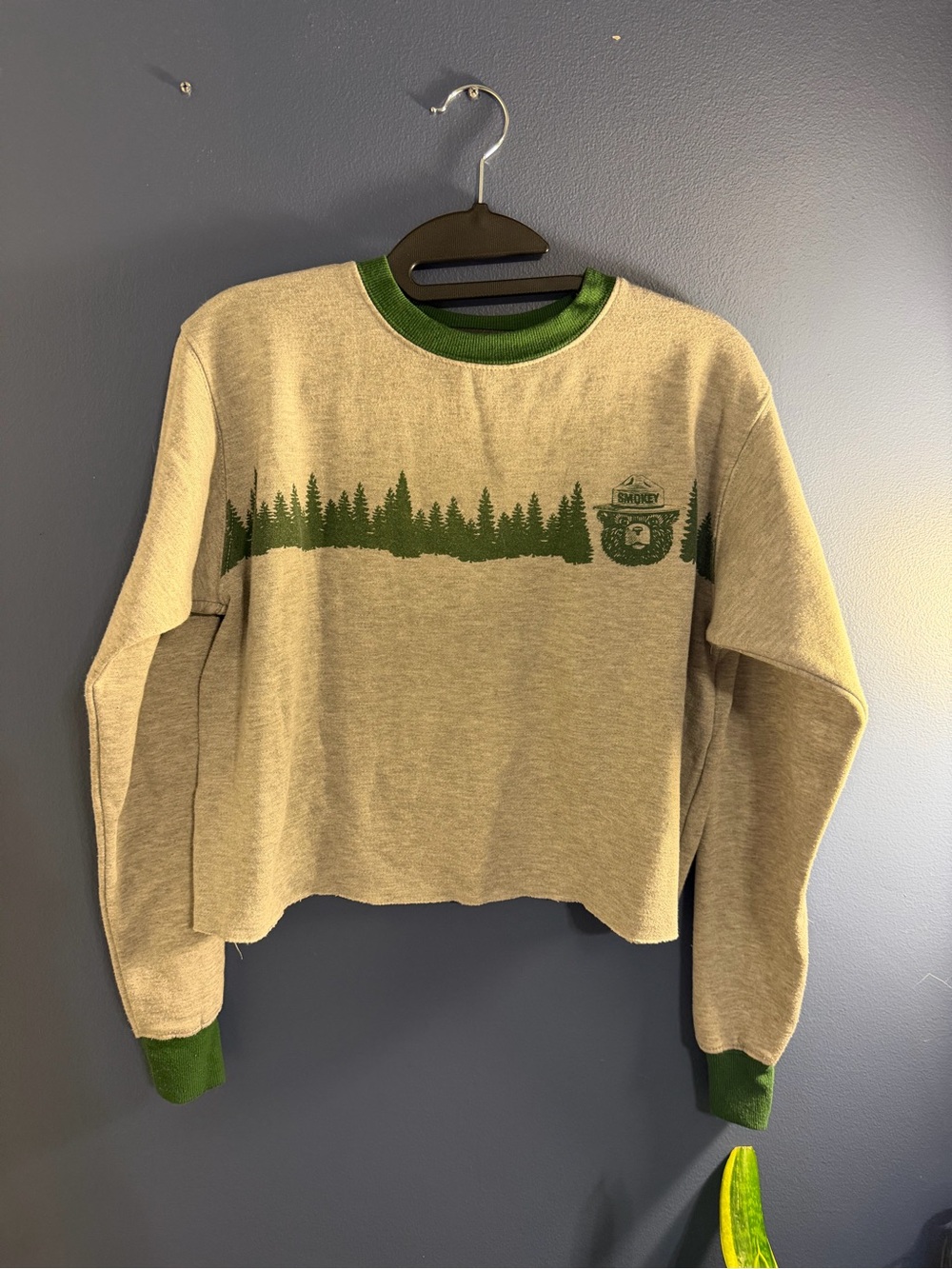 Smokey Bear Graphic Sweatshirt with Forest Print and Green Trim Small Petite